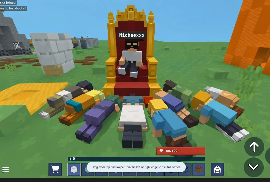 Bow down to the bloxd kinggg