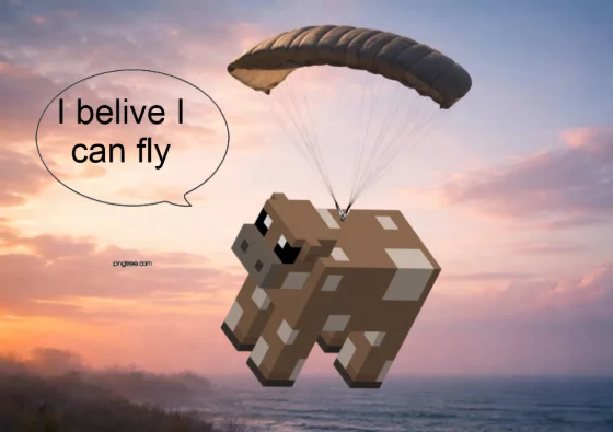 I belive I can fly