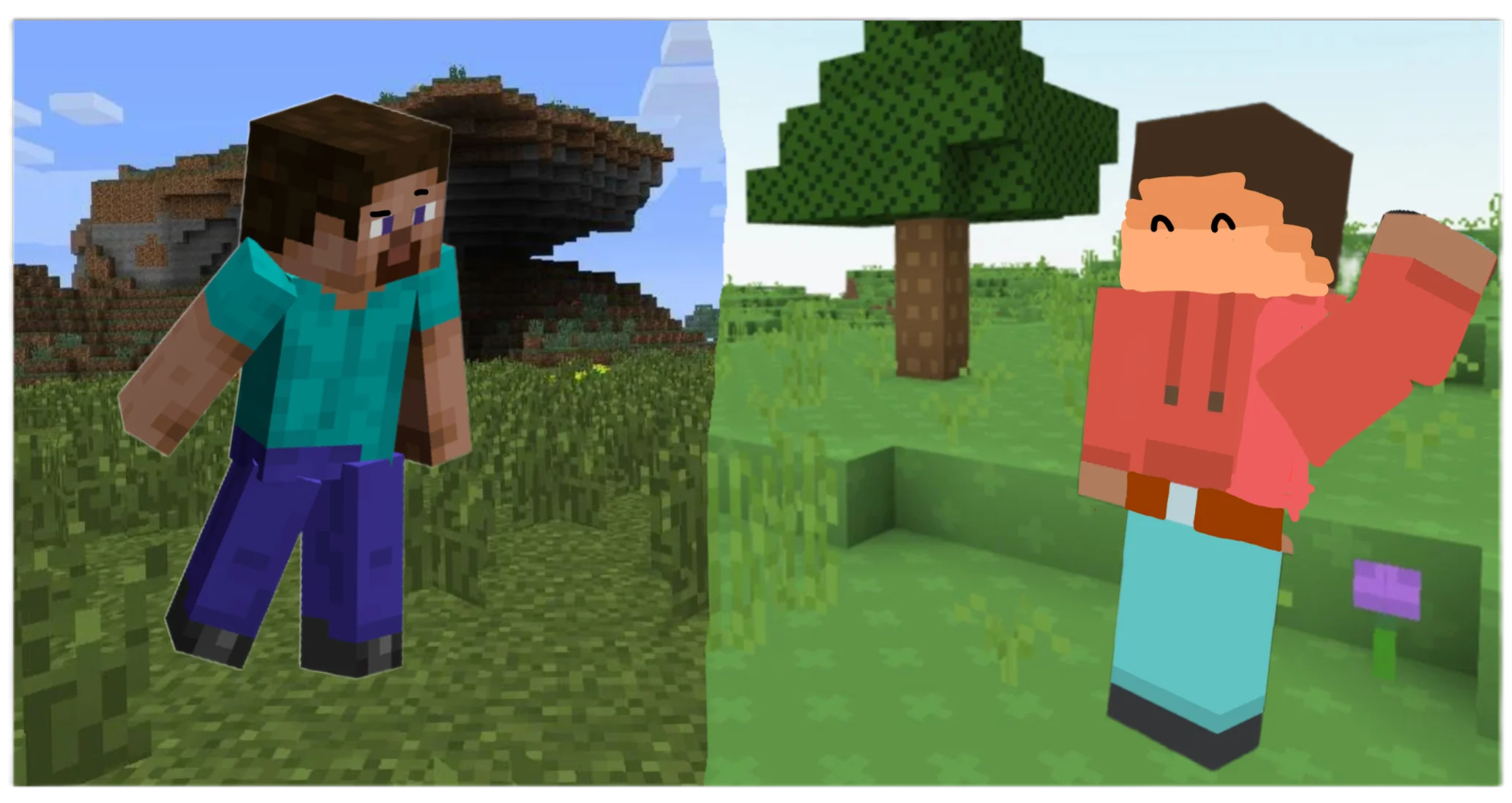 Steve sees the major downgrade of graphics and refuses to go with bob