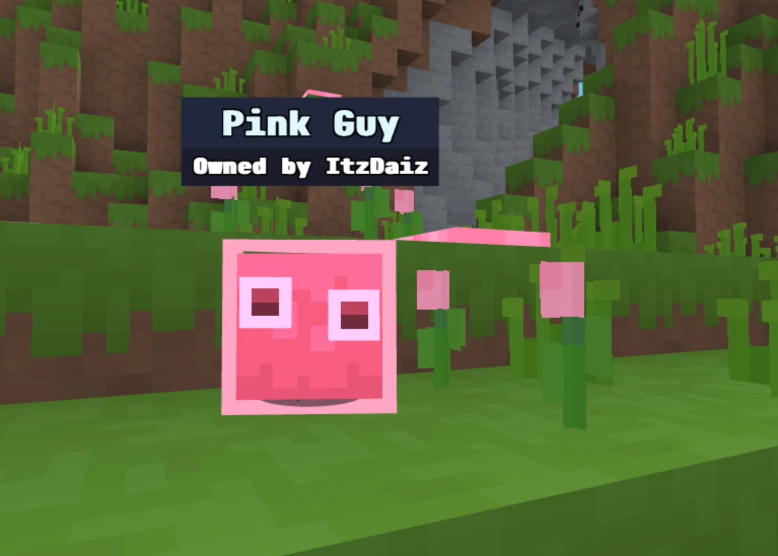 pink guy.