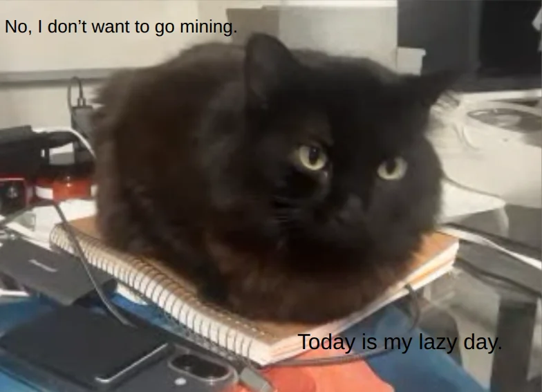 Me when I just wanna be a loaf: